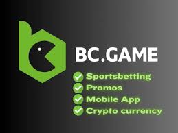 Exploring the Thrilling World of BC CO Play -212834217