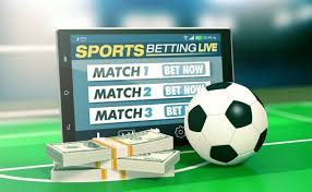 Betwinner A Comprehensive Guide to Online Betting -1724846920