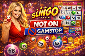 Exploring Non GamStop Bingo Sites A Guide for Players 953327909