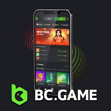 Exploring BC Fun Deposit Enhancing Your Gaming Experience