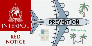 Understanding the Role of Interpol Lawyers 1345993582