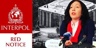 Understanding the Role of Interpol Lawyers 1345993582