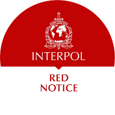 Understanding the Role of Interpol Lawyers in Global Justice 1333477535