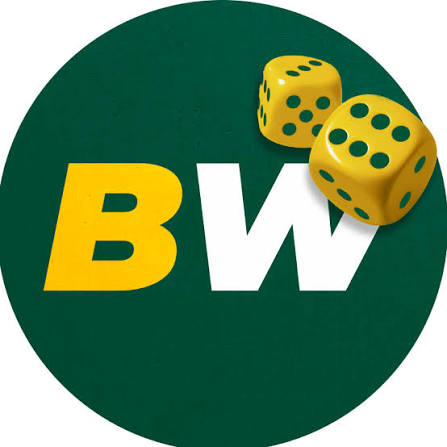 BetWinner Bookmaker A Comprehensive Review